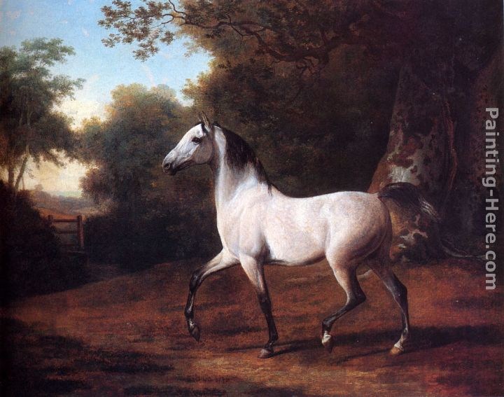 Jacques-Laurent Agasse A Grey Arab Stallion In A Wooded Landscape